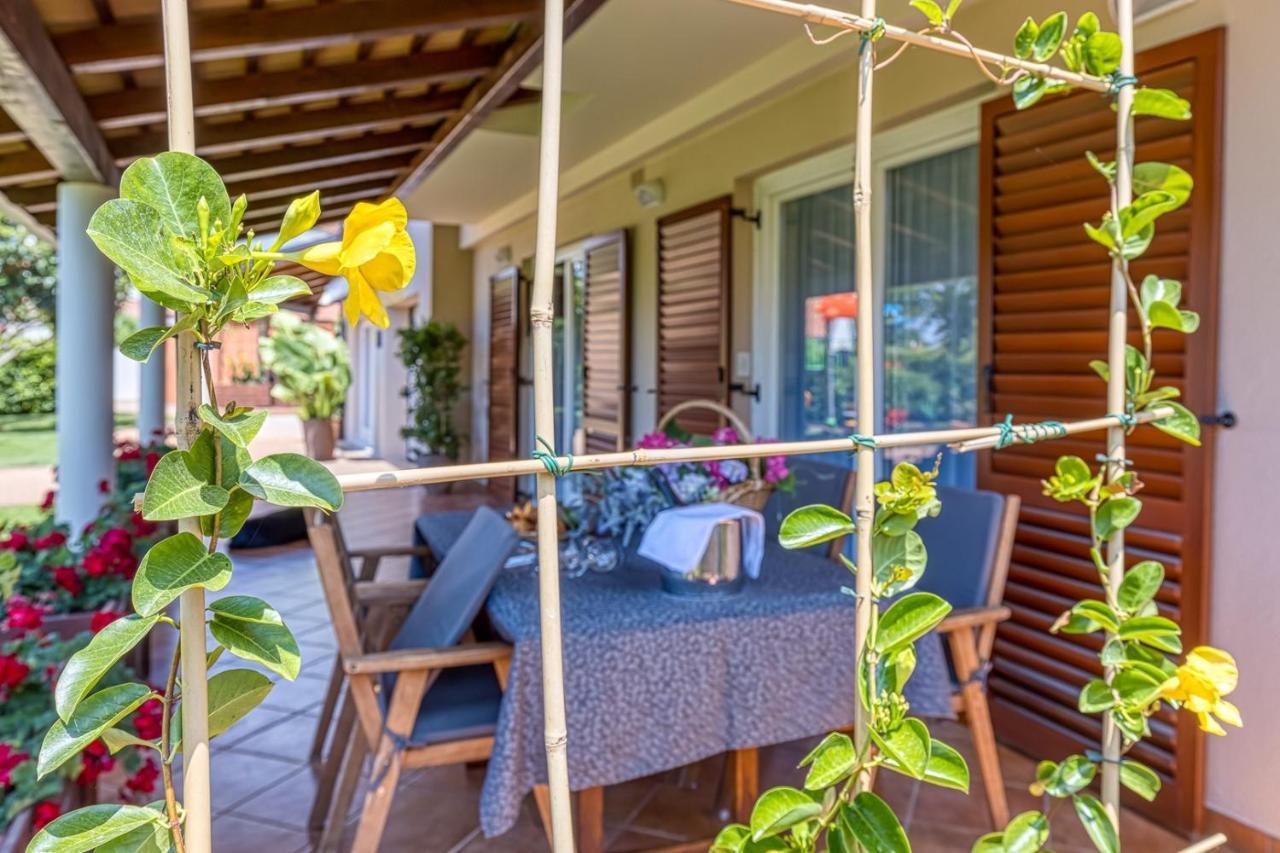 Apartment Complex Irena With Pool Porec Exterior photo